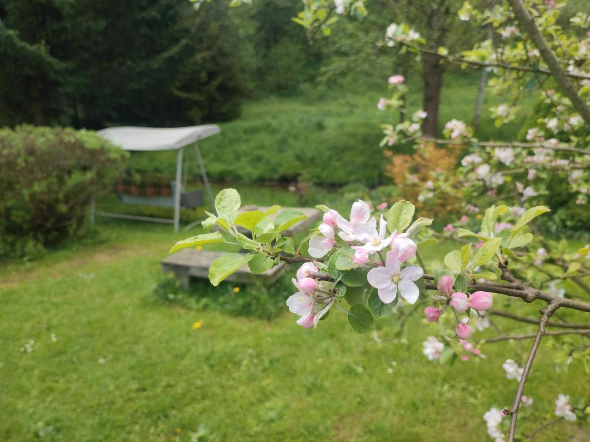 Lusatia Farm Leśna Exteriör bild