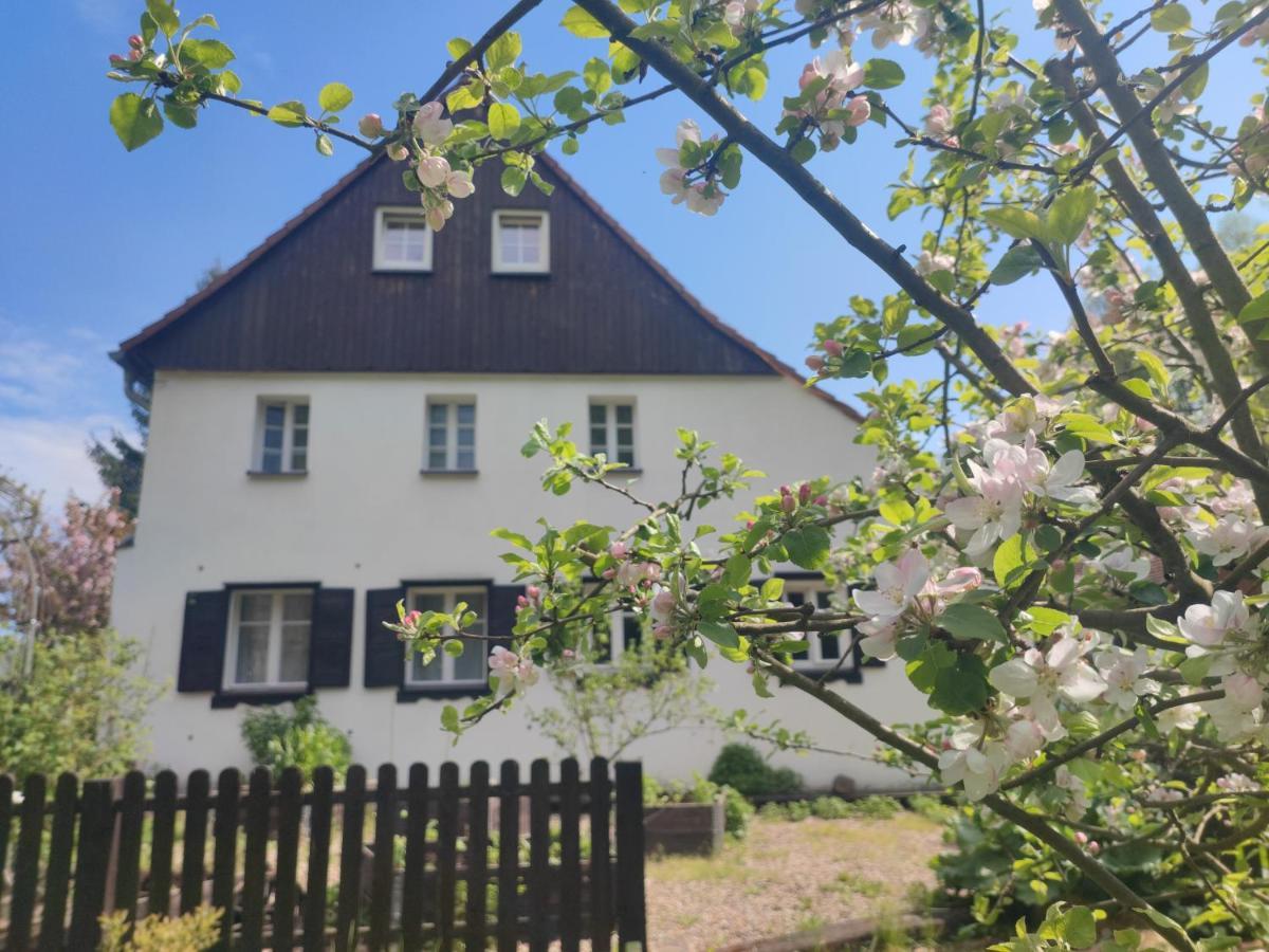 Lusatia Farm Leśna Exteriör bild