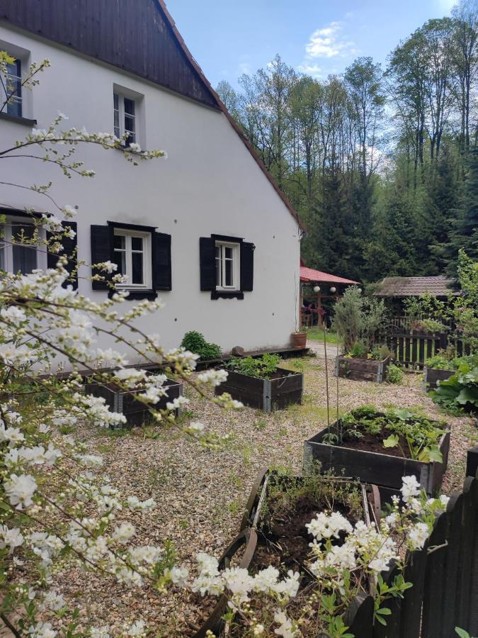 Lusatia Farm Leśna Exteriör bild