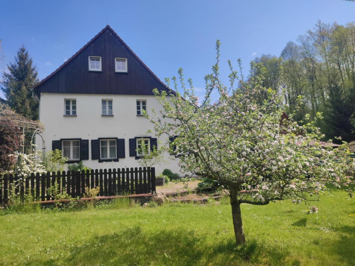Lusatia Farm Leśna Exteriör bild