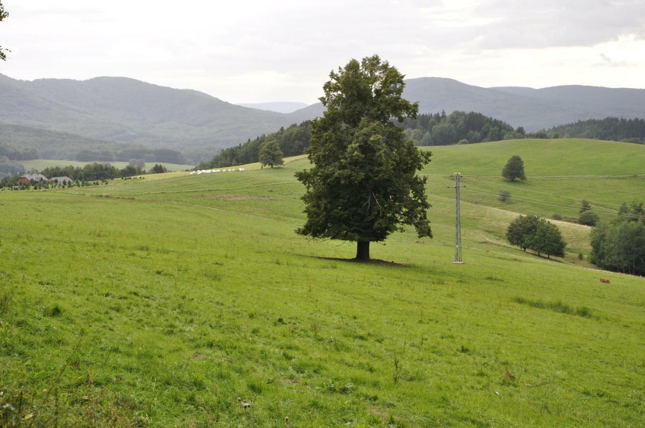 Lusatia Farm Leśna Exteriör bild
