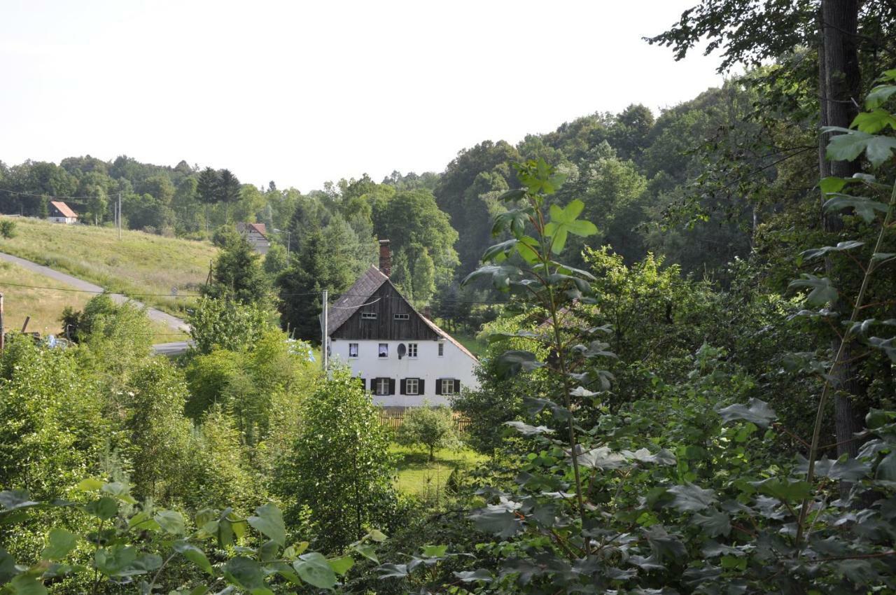 Lusatia Farm Leśna Exteriör bild
