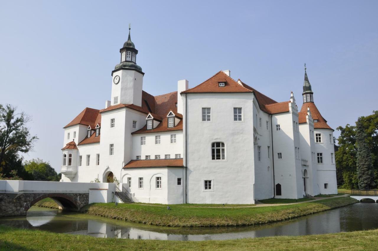 Lusatia Farm Leśna Exteriör bild